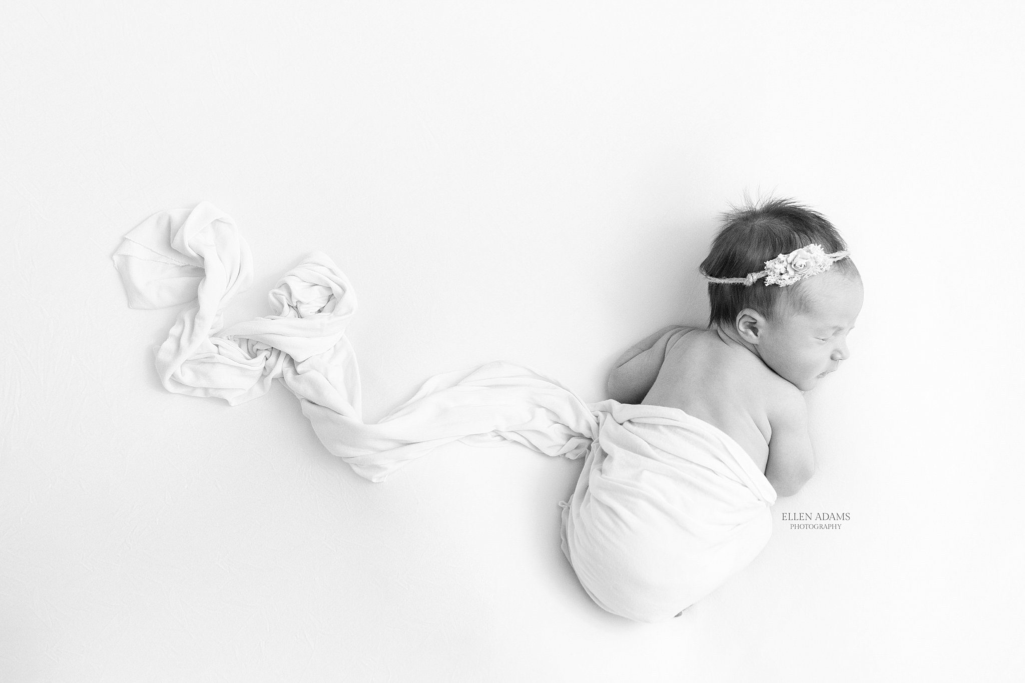 newborn photography portraits in Huntsville AL