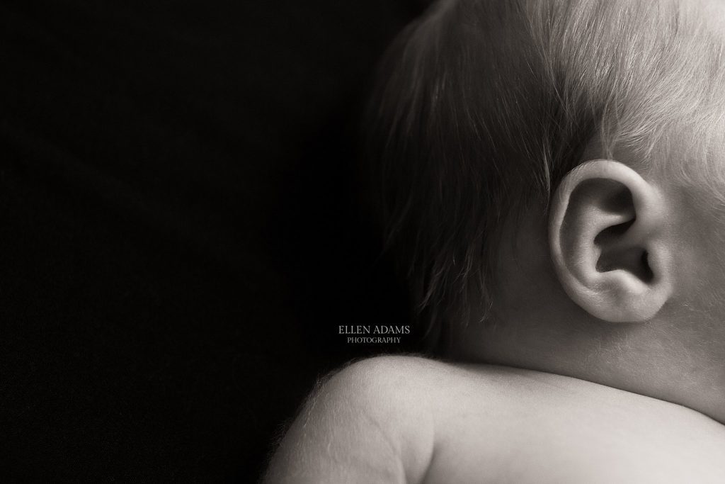 Picture of a newborn baby's ear by Ellen Adams Photography.