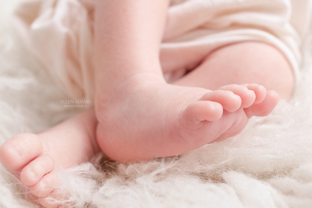 Newborn Toes picture by Ellen Adams Photography.