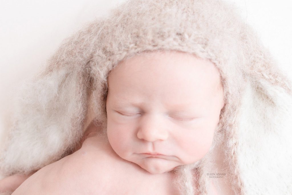 Newborn portraits by Ellen Adams Photography.