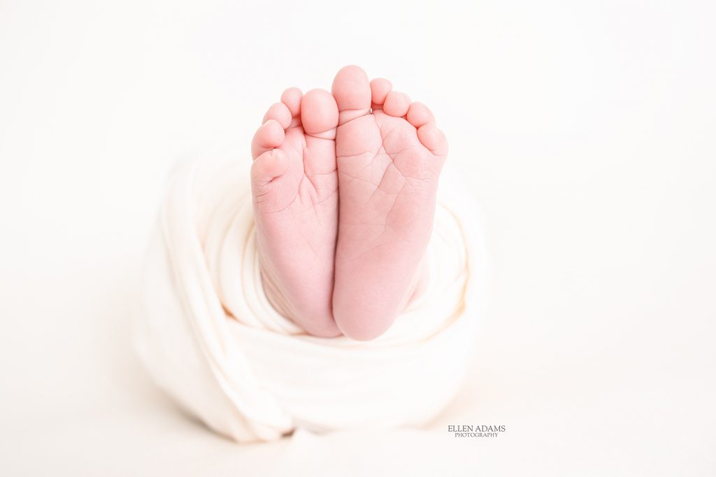 Newborn feet from a newborn photo shoot by Ellen Adams Photography.