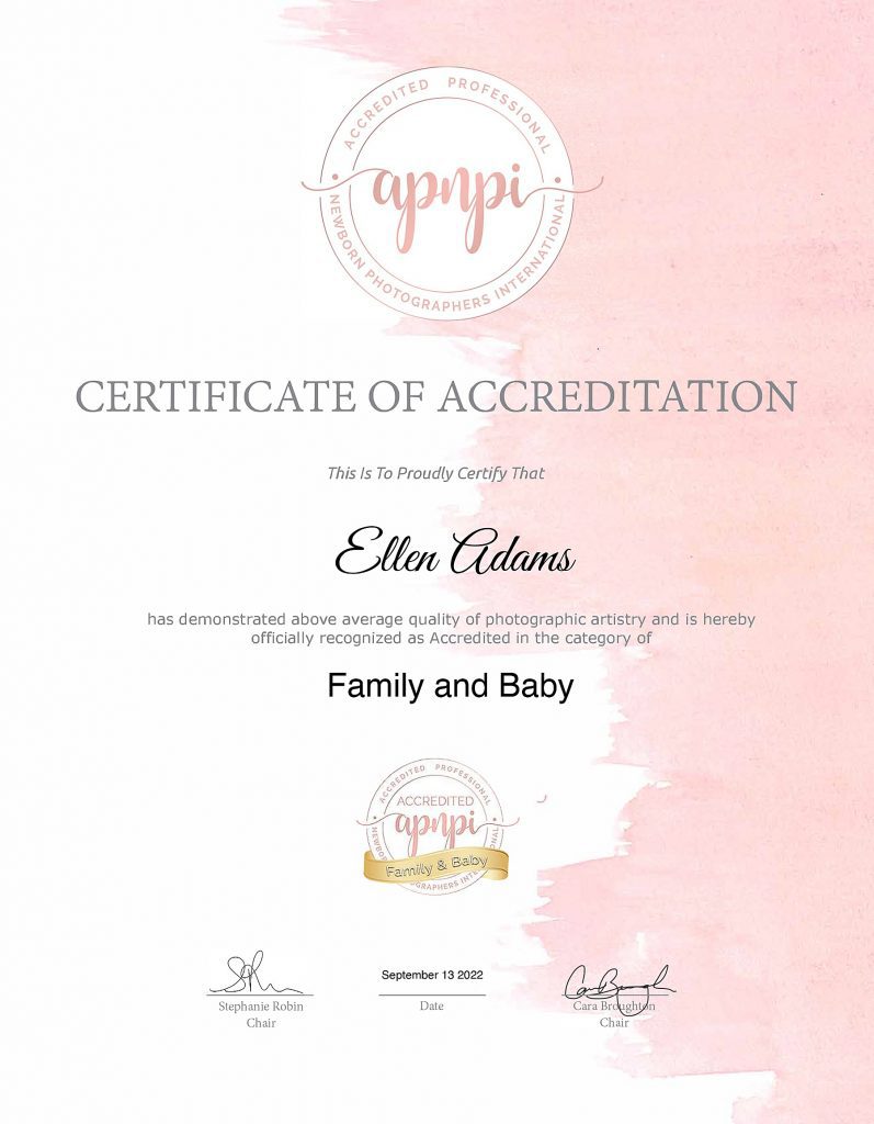 Accredited newborn photographer certificate from APNPI to Ellen Adams Photography for family and baby pictures.